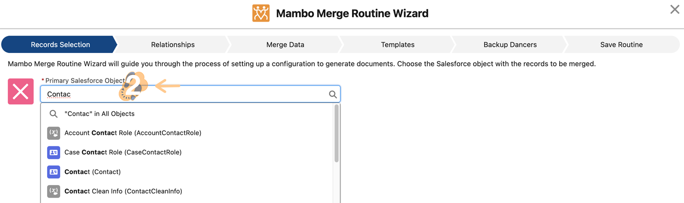 Dropdown selection for Primary Salesforce Object