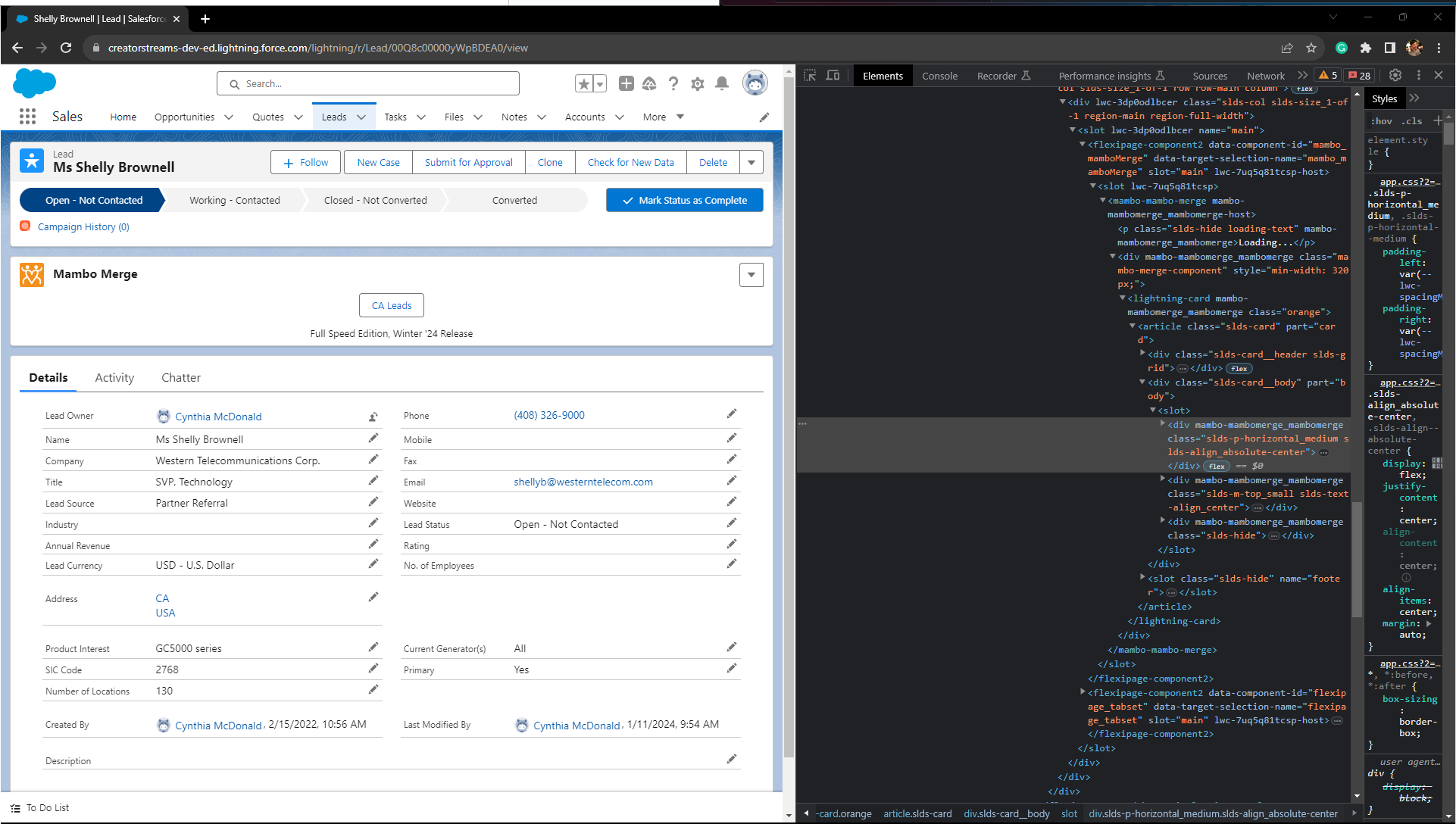 Developer Tools Panel